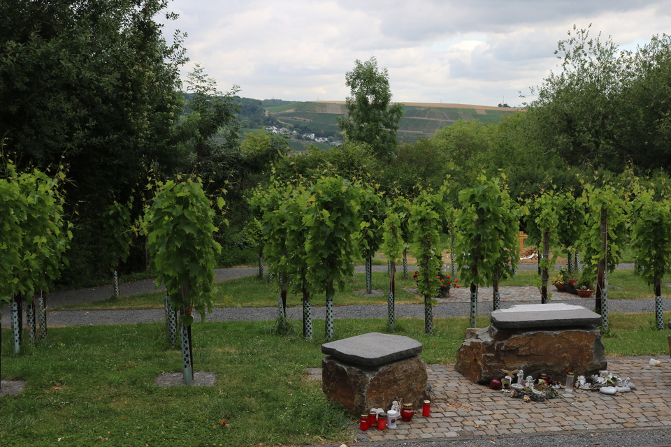 Garten mit Weinst&ouml;cken, zwei Steinsitzen und Kerzen auf dem Boden, Hintergrund mit sanften H&uuml;geln.
