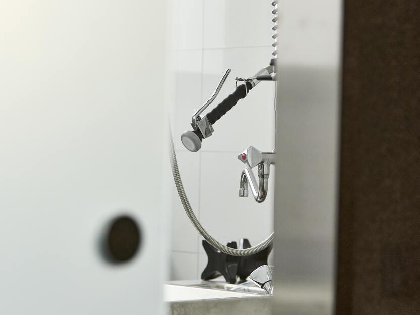 Durchscheinende Glast&uuml;r mit einem Blick auf eine moderne Dusche und Wasserhahn im Hintergrund.