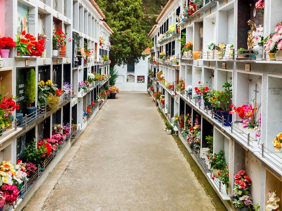 Ein schmaler Weg zwischen zwei Reihen von Grabstätten, geschmückt mit bunten Blumen und Pflanzen.
