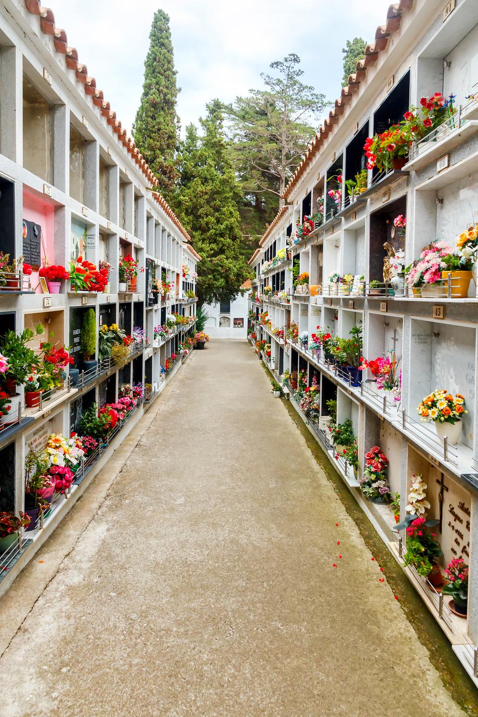 Ein schmaler Weg zwischen zwei Reihen von Grabstätten, geschmückt mit bunten Blumen und Pflanzen.