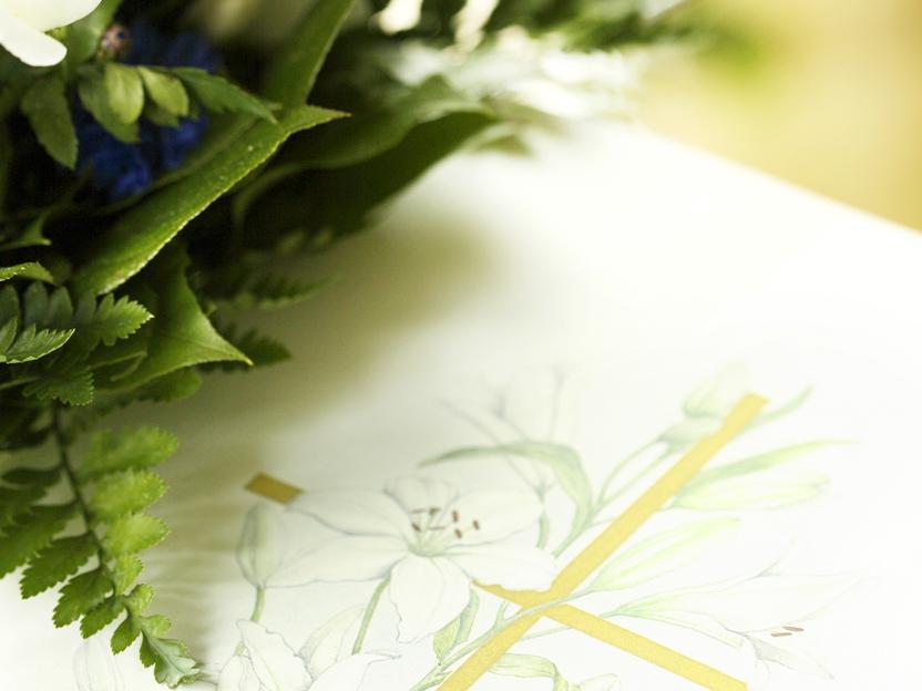 Detailansicht von weißen Blumen und grünem Blattwerk neben einer handgezeichneten Blumenillustration mit goldener Akzentlinie.